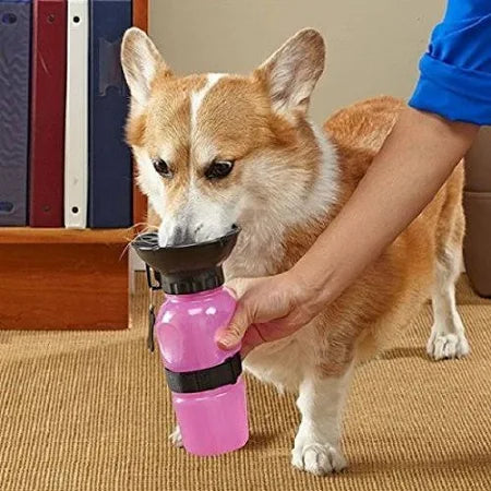 Portable Water Bottle for Pets